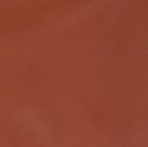 VESTE EN CUIR COURTE CROISEE RIXIE WAXY